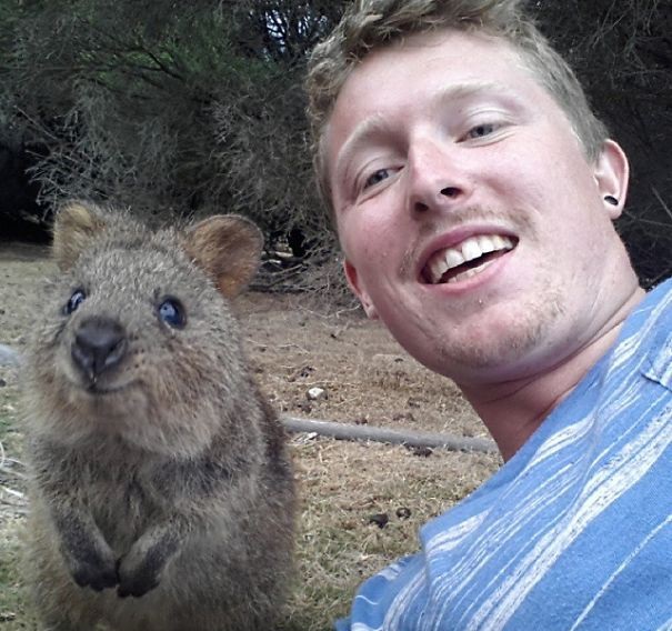 Selfie with a cat and a dog - how to make the perfect photo with animal