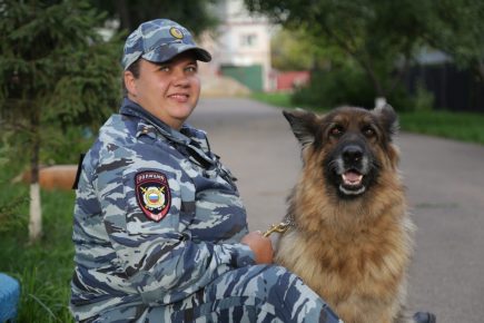 Betta Sheepdog with a canine