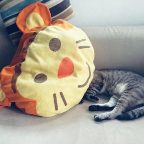 cat under a tiger pillow