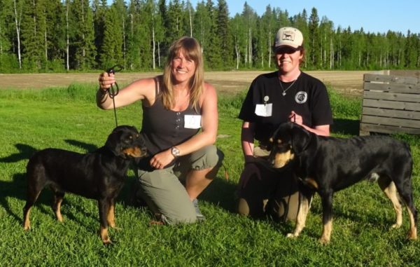 Smoland Hounds
