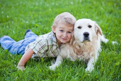 Dog and children: basic rules of behavior