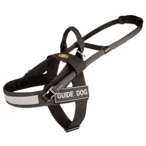 Harness for a guide dog