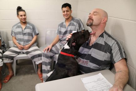 Prisoners with a dog