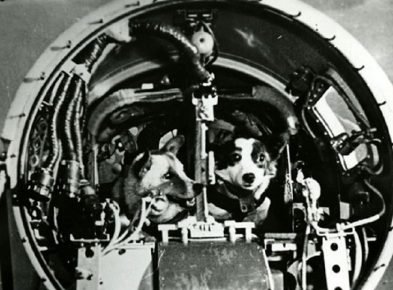 Desic and Gypsy in the head compartment of the rocket