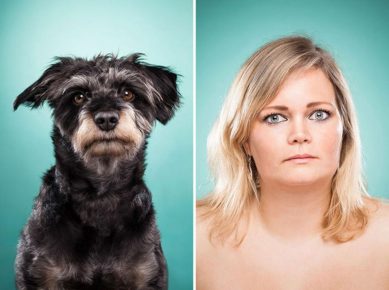 Dogs Similar to Their Owners