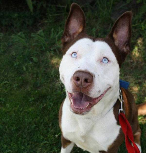 Pitsky
