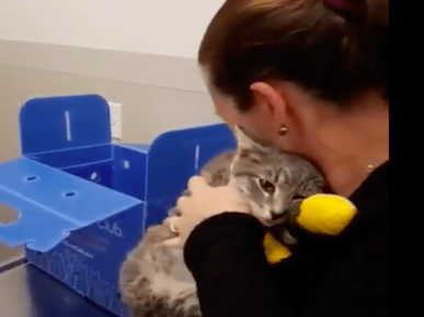 Woman hugs a cat