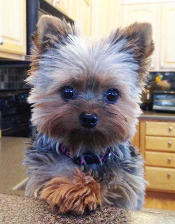 Square haircut