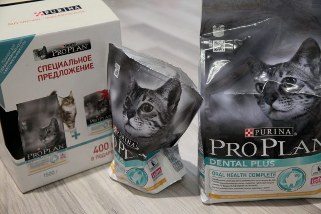 Dry food for neutered cats