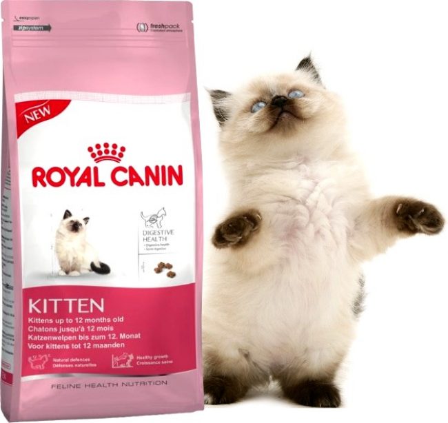 Dry food for cats Royal Canin
