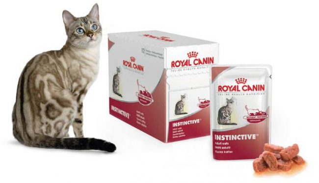 Dry food for cats Royal Canin