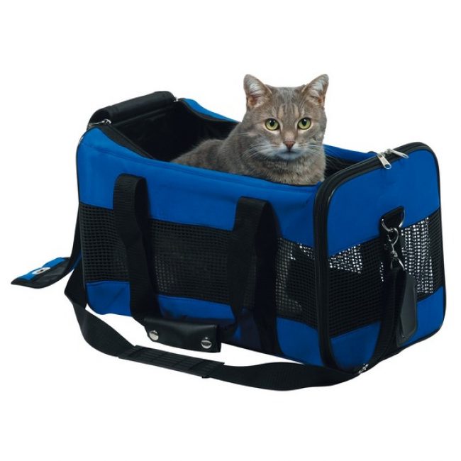Carrying bag for cats