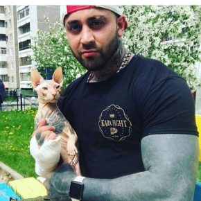 Cat and boxer Rustam Shafiev