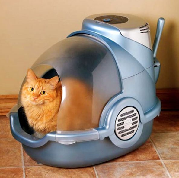 Toilets for cats are closed and automated, similar to a spaceship