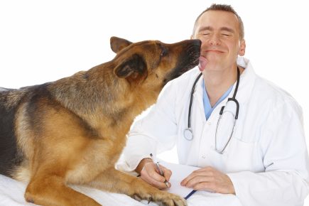 Vet with a dog