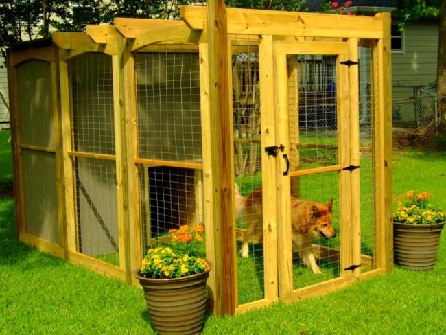 Aviaries for dogs can look very attractive, performing not only the function of housing for the dog, but also decorating your garden