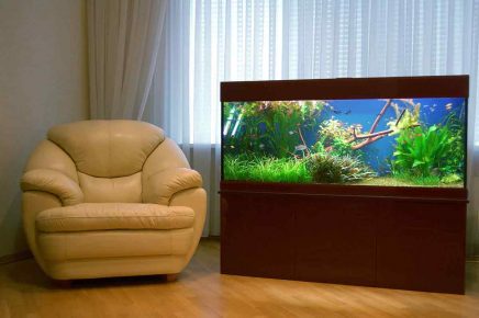 A large aquarium and chair against the window