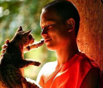 Cat and the Buddhist