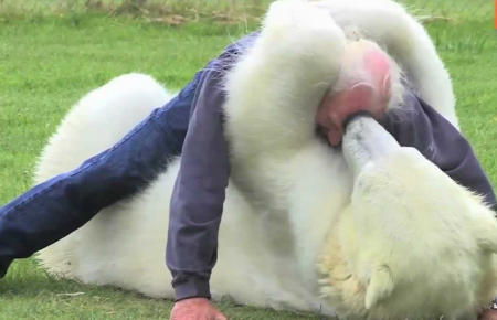 A trainer with a polar bear